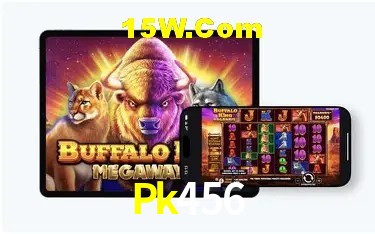 Segurança 2FA Pk456