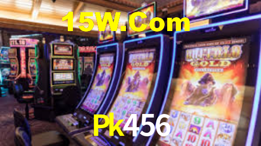 VIP Casino Pk456
